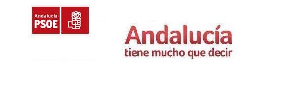 Fisking al programa del PSOE andaluz. Introducción