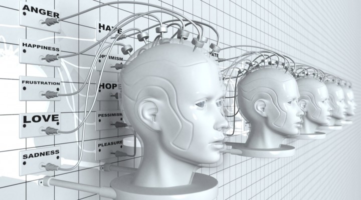 La bioquímica (y la física) de la libre voluntad