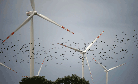 Las políticas energéticas verdes: más paro, menos industria