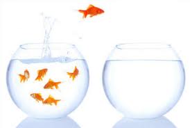 Proyectando el pasado en el futuro