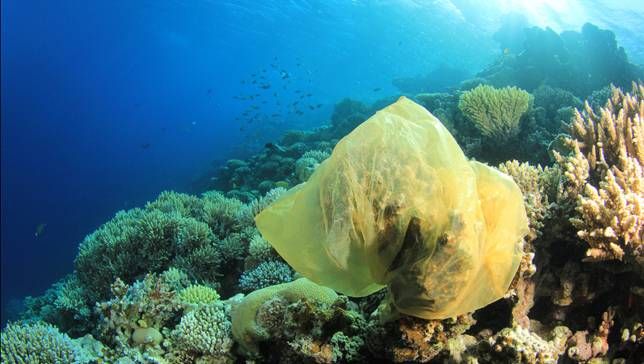 La contaminación con plástico. Un problema de verdad.